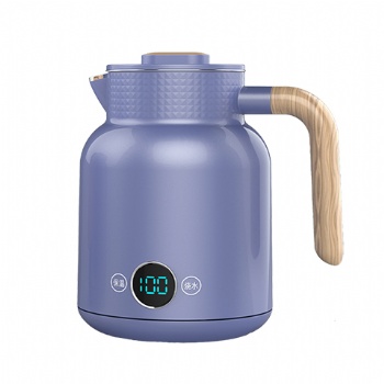 Double wall digital kettle